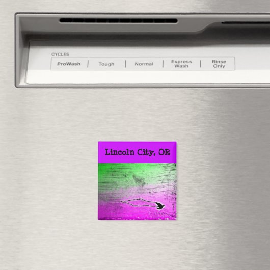 LC Vlieger Magneet (Insitu (Vaatwasser))