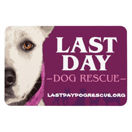 LDDR 4 "x 6" logo magneet (Horizontaal)