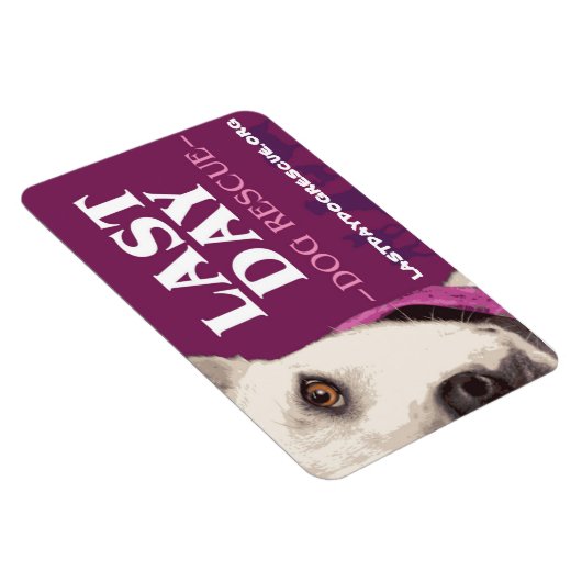 LDDR 4 "x 6" logo magneet (Rechterzijde)