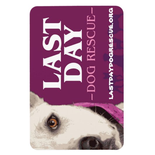 LDDR 4 "x 6" logo magneet (Verticaal)