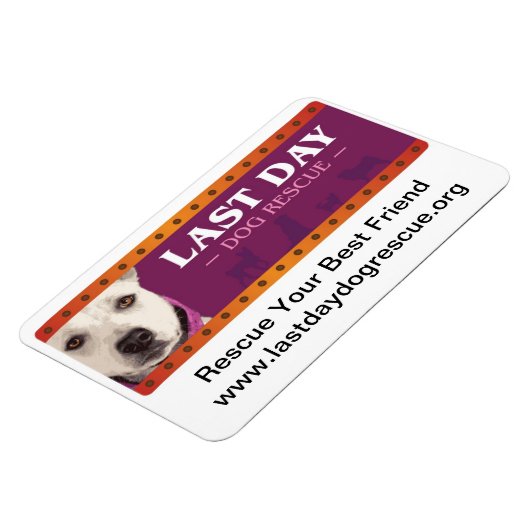 LDDR-automagneet Magneet (Linkerzijde)