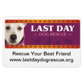 LDDR-automagneet Magneet (Horizontaal)