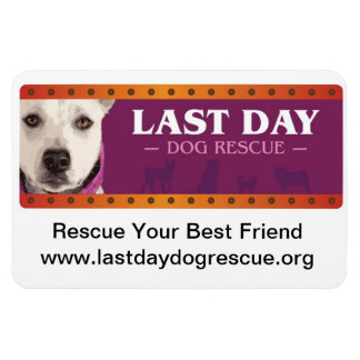 LDDR-automagneet Magneet