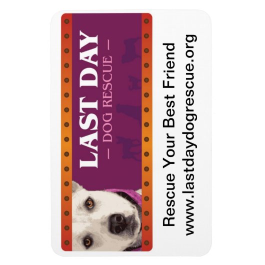 LDDR-automagneet Magneet (Verticaal)