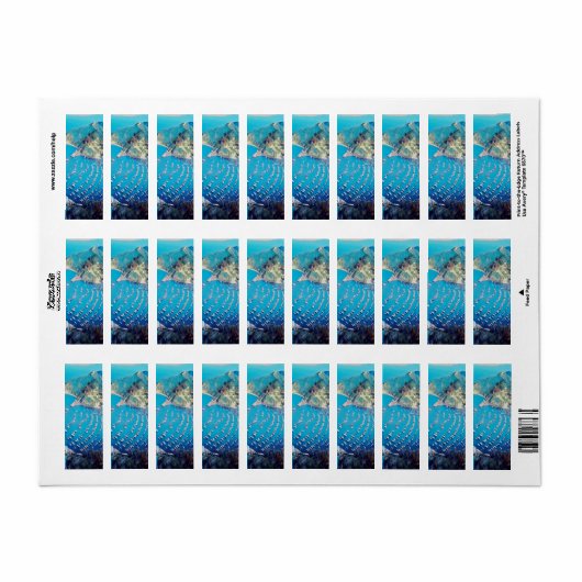 ldp SANTA CATALINA Island - Californië - haven Etiket (Full Sheet)