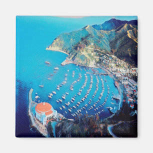 ldp SANTA CATALINA Island - Californië - haven Magneet