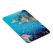 ldp SANTA CATALINA Island - Californië - haven Magneet (Rechterzijde)