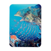 ldp SANTA CATALINA Island - Californië - haven Magneet (Verticaal)