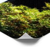 lds mormon las vegas nv tempel poster (Hoek)