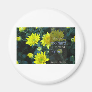 LDS-prijsopgave: Als het leven te moeilijk wordt o Magneet