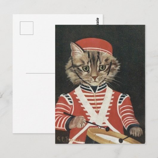 Le batteur chat briefkaart (Voorkant / Achterkant)
