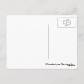 Le Bouquiniste Briefkaart (Achterkant)