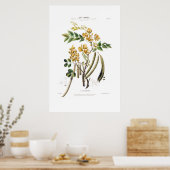Le Cafe Nouveau Yellow Floral Botanical Amerique Poster (Keuken)