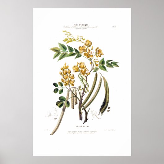 Le Cafe Nouveau Yellow Floral Botanical Amerique Poster (Voorkant)