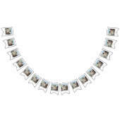 Le Cat du Cafe Vlaggetjes (Alle)