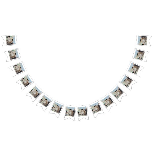 Le Cat du Cafe Vlaggetjes (Alle)