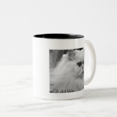 Le Chat Blanc Tweekleurige Koffiemok (Voorkant rechts)