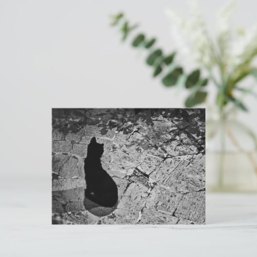 Le Chat Noir Briefkaart (Staand voorkant)