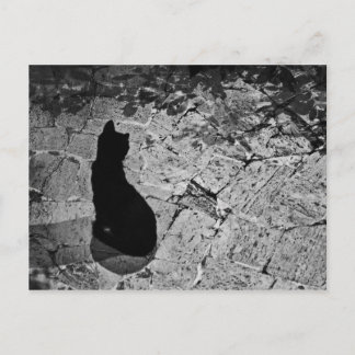 Le Chat Noir Briefkaart