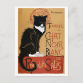 Le Chat Noir et Blanc Briefkaart (Voorkant)