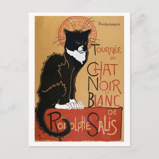 Le Chat Noir et Blanc Briefkaart (Voorkant)