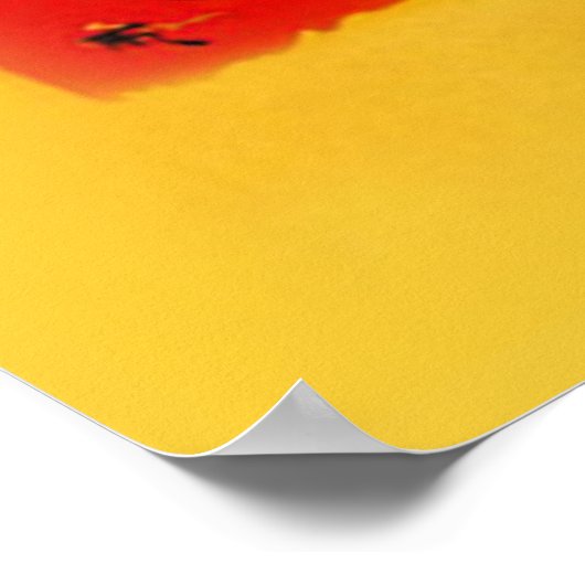 Le Chat Noir - Joyeux Anniversaire Poster (Hoek)