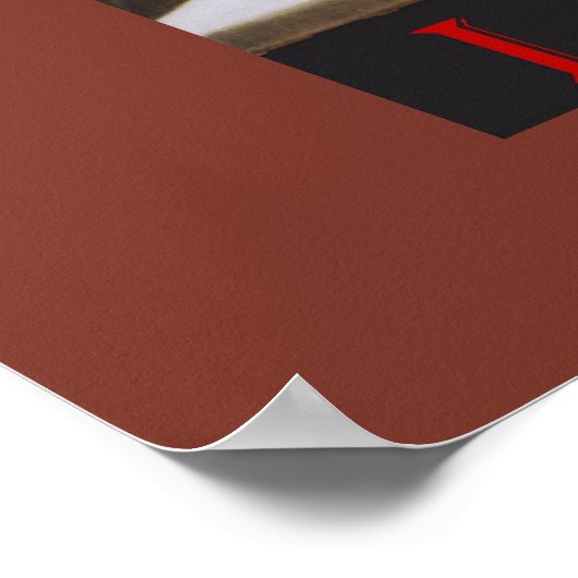 Le Chat Noir Laundry Room Poster (Hoek)