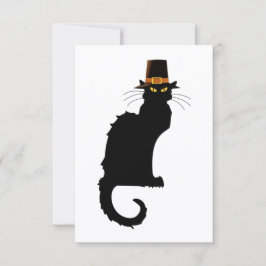 Le Chat Noir Thanksgiving Pilgrim Pet