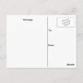 Le Chateau Laurier Ottawa Briefkaart (Achterkant)