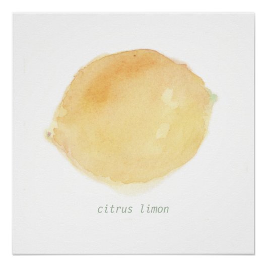 le citron perfect poster (Voorkant)