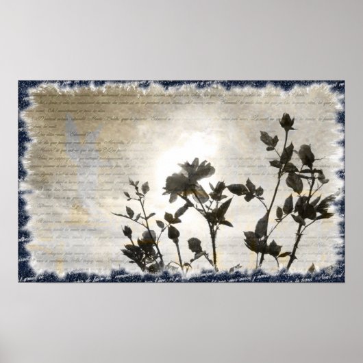 Le Comte de Monte-Cristo Poster (Voorkant)