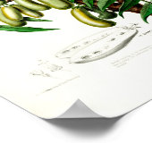 Le Cornichon en Arbre Flore d Amerique Poster (Hoek)