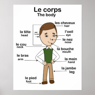 Le corps the body French English Educational Poster