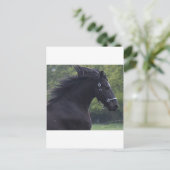 LE FRISON LA PERLE NOIRE BRIEFKAART (Staand voorkant)