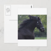LE FRISON LA PERLE NOIRE BRIEFKAART (Voorkant / Achterkant)