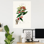Le Giroflier Red Clove Amerique Botanical Poster (Thuiskantoor)