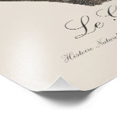 Le Grand Vaza / Grote Vasa Parrot Foto Afdruk (Hoek)