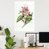 Le Jalap Botanical Amerique Floral Poster (Thuiskantoor)