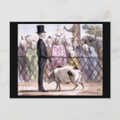 Le Jardin des Plantes a Pekin - Honore Daumier Briefkaart (Voorkant)