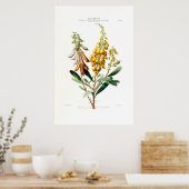 Le Jouet Golden Yellow Botanical Floral Amerique Poster (Keuken)