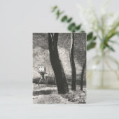 Le Joueur (The Player) van Odilon Redon Briefkaart (Staand voorkant)