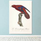 Le Lori a franges bleues Canvas Afdruk (Insitu (Houten vloer))