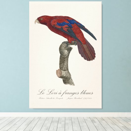 Le Lori a franges bleues Canvas Afdruk (Insitu (Houten vloer))