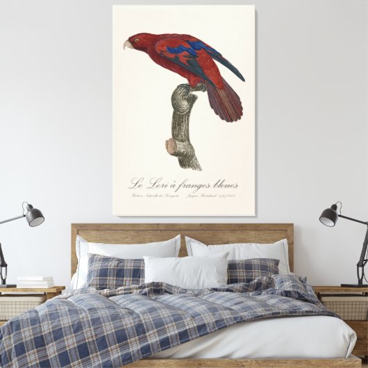 Le Lori a franges bleues Canvas Afdruk (Insitu (Slaapkamer))