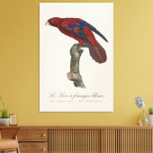 Le Lori a franges bleues Canvas Afdruk (Insitu (Woonkamer))