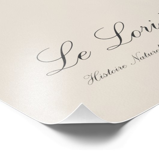 Le Lori a franges bleues Foto Afdruk (Hoek)