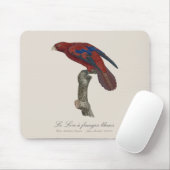 Le Lori a franges bleues Muismat (Met muis)