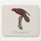 Le Lori a franges bleues Muismat (Voorkant)