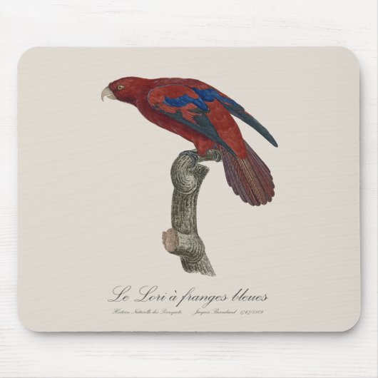 Le Lori a franges bleues Muismat (Voorkant)