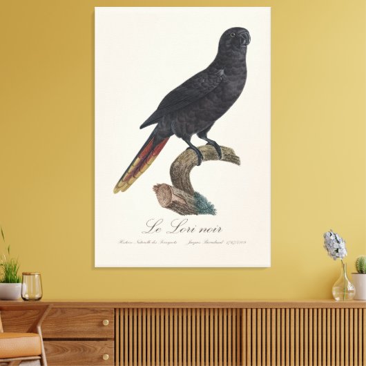 Le Lori noir / Zwarte lory Canvas Afdruk (Insitu (Woonkamer))